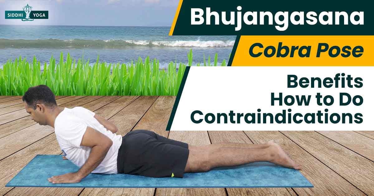 Yoga Poses: Bhujangasana (The Cobra Pose) | Diet & Fitness