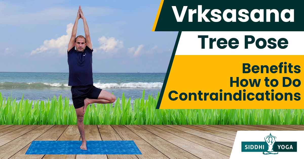 Vrikshasana (Tree Pose) | Benefits of Vrikshasana - The Art of Living