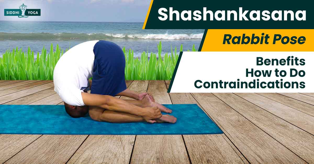 Benefits of Shashankasana (Rabbit Pose) and How to Do it By Dr. Himani  Bisht - PharmEasy Blog