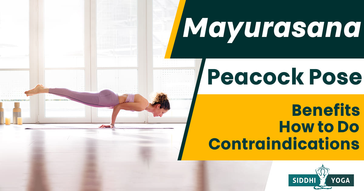 The benefits of mayurasana will make you want to try this yoga pose right  now | HealthShots