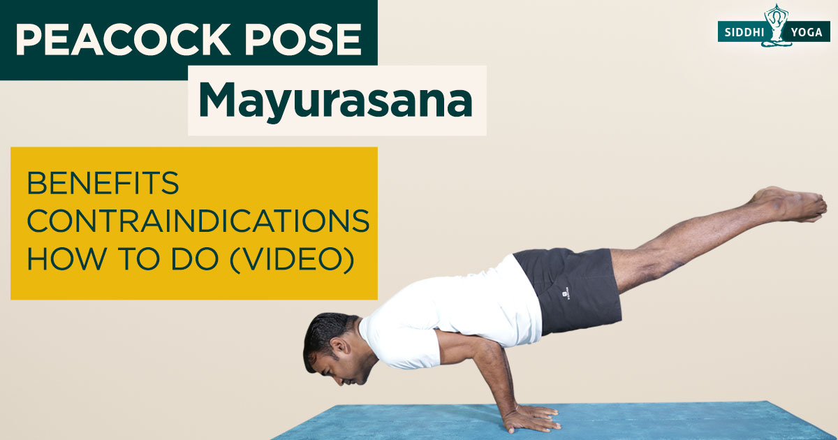 The Key To Unlocking Forearm Balance || How To Do Pincha Mayurasana