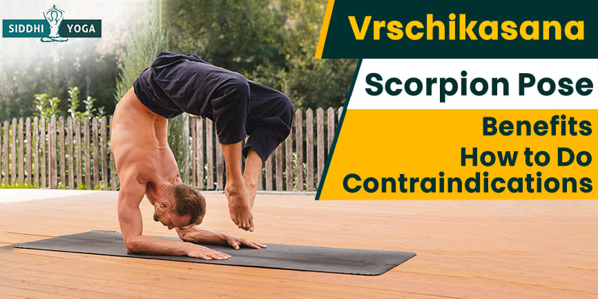 Vrischikasana or Scorpion pose. How to perform - Akshi Yogashala
