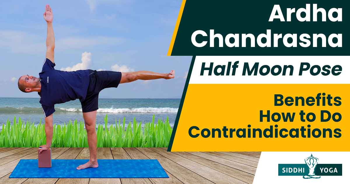 Ardha Chandrasana Yoga Pose Adjustments- Half Moon Pose Assists - Drishti  Online Yoga Teacher Training | USA | Canada | UK | Germany