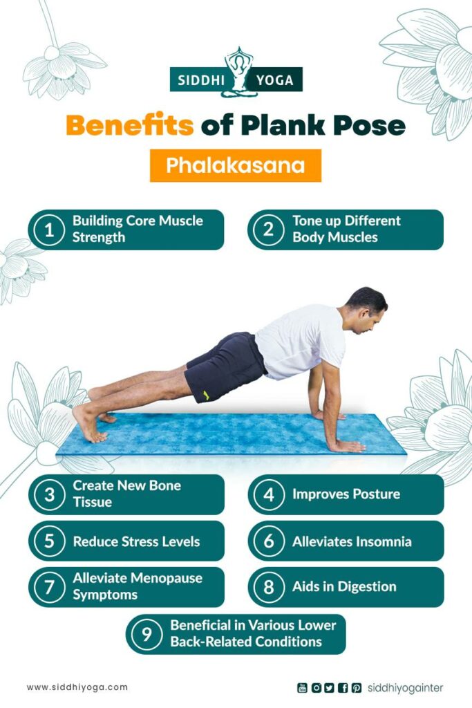 How to do Plank Pose | Great Whole Body Strengthener | How to do planks, Plank  pose, Plank pose yoga