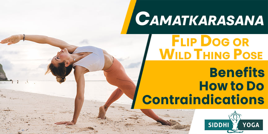 Camatkarasana, Wild Thing, Flip Dog, Steps, Benefits 