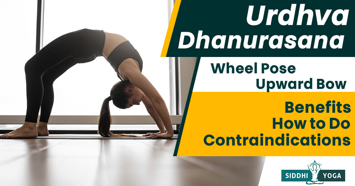 Chakrasana | Wheel Pose - Steps, Benefits, Urdva Dhanurasana
