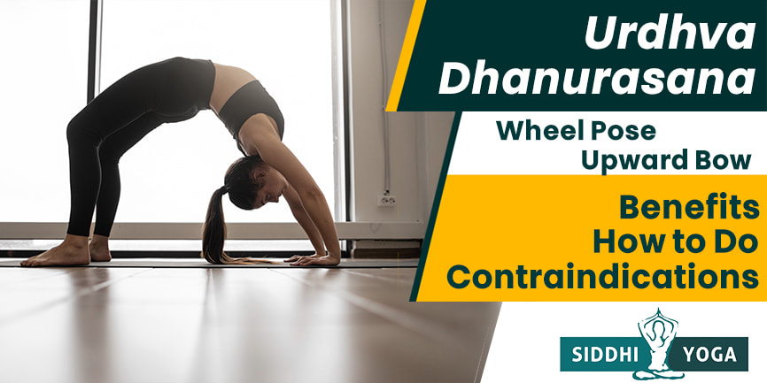 Urdhva dhanurasana/ Chakrasana - wheel pose | Prana Yoga