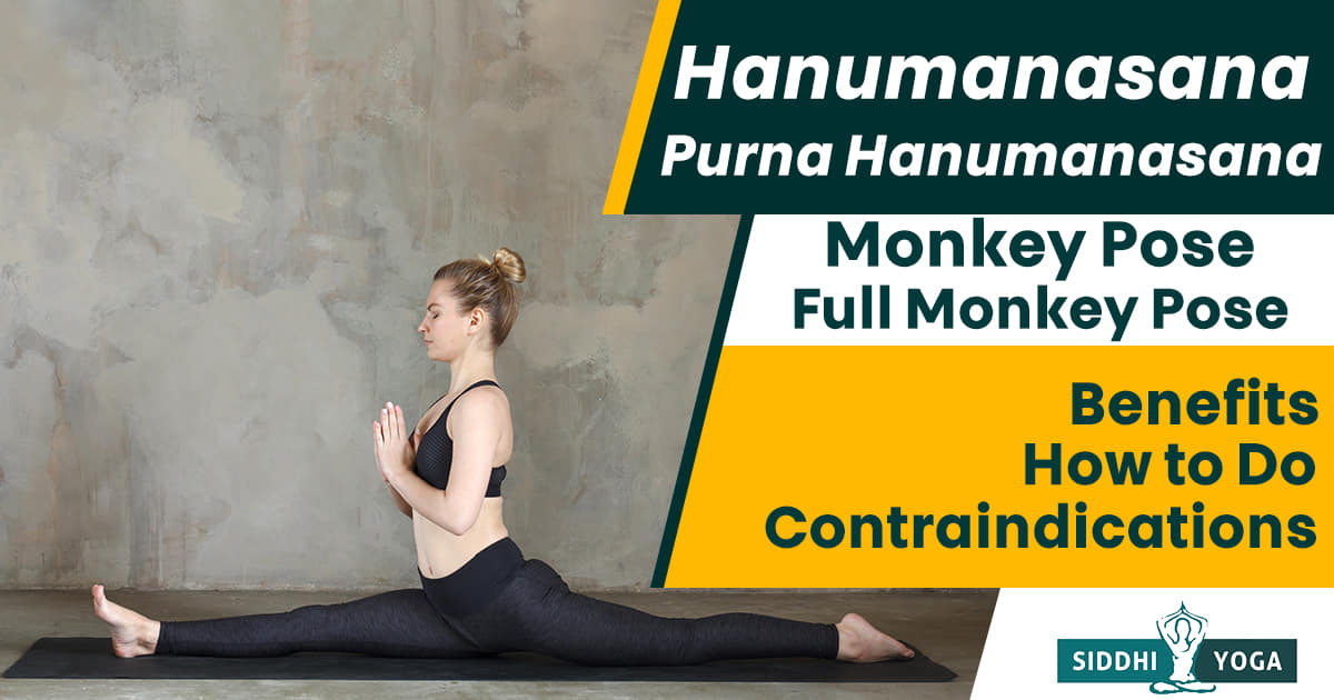 Hanumanasana (Monkey Pose): How to Do, Variations, & Benefits - Fitsri Yoga