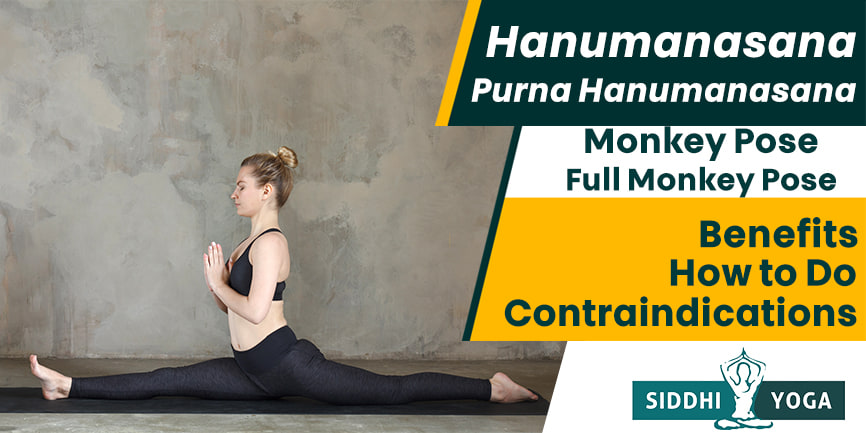 Hanumanasana - How To Master The Pose With 200-Hour Yoga Teacher Training  In Rishikesh