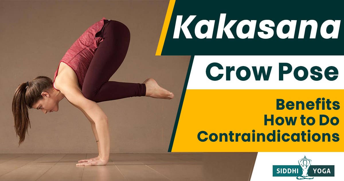 Bakasana (Crow Pose) - Yoga Asana