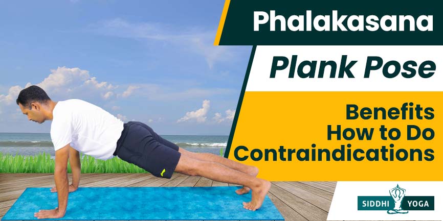 Plank Pose | Phalakasana