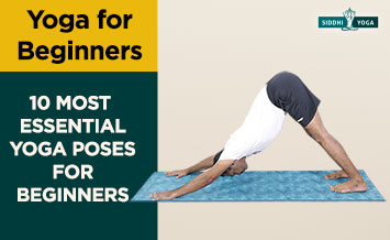 10 Top Yoga sentado Poses para iniciantes