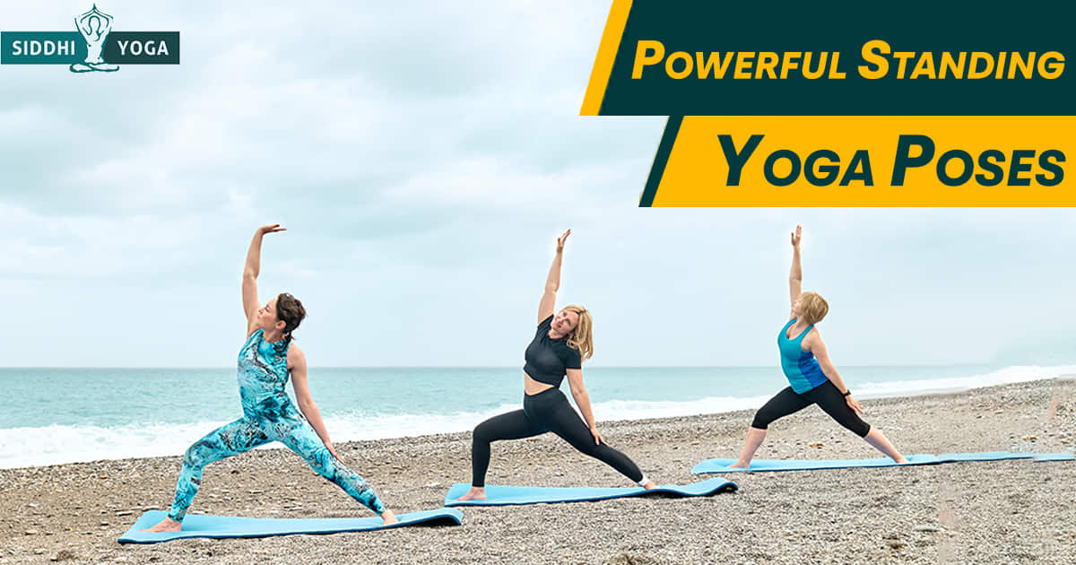 10 Yoga Asanas You Can Easily Practice Everyday - The Wellness Corner