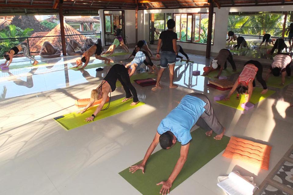 yoga teacher tripadvisor training bali Teacher Hour Certification 300 Training Advanced Yoga