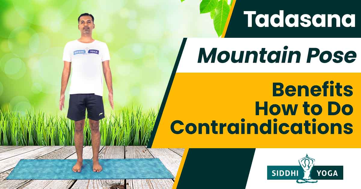 Standing Posture: Yoga Mountain Pose (Tadasana)
