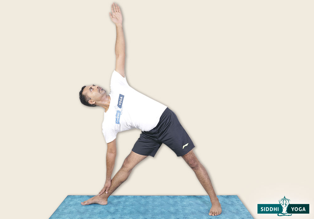 Viparita Karani (Legs Up The Wall Pose) - Vinyasa Yoga Academy Blogs