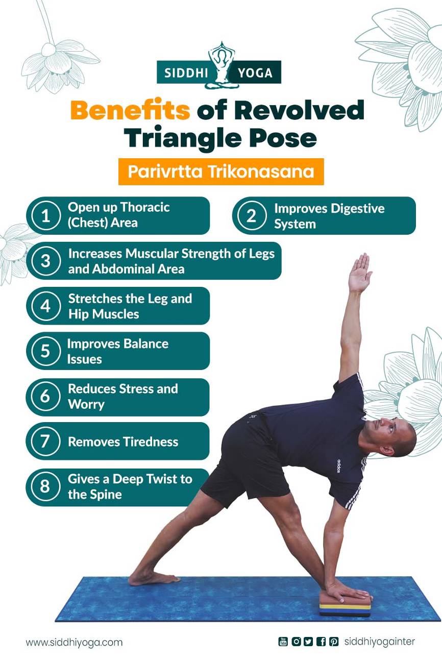 Revolved Triangle Pose (Parivritta Trikonasana) Dimensions & Drawings |  Dimensions.com