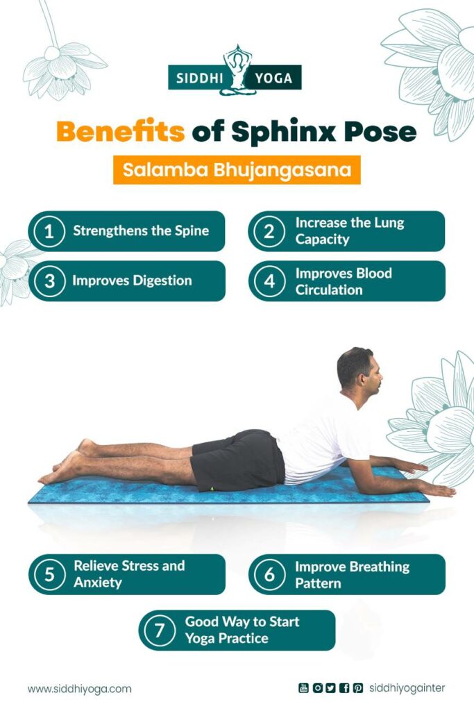 Sphinx Pose( Salamba Bhujangasana ): How to do and Benefits | by  TheYogaHouse | Medium