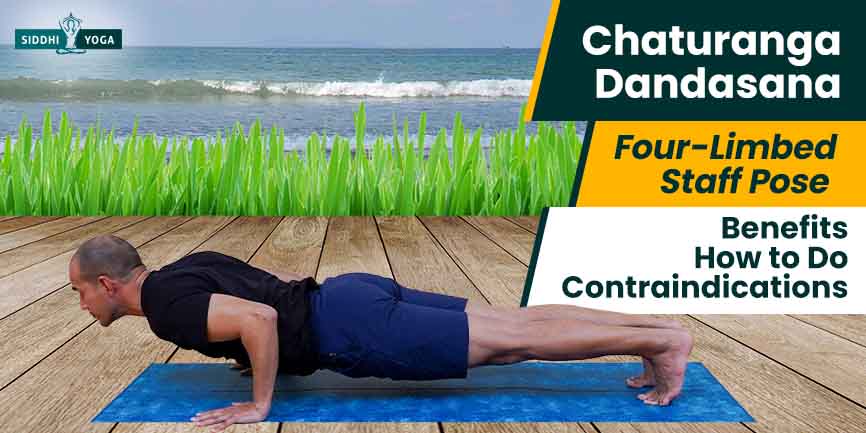 KALPANA YOGA - ☀️ Back to Basics: Surya Namaskar ☀️ 6️⃣ Chaturanga Dandasana  (Four Limbed Staff Pose) On your same EXHALE from Plank Pose, lower half  way - elbows at 90 degrees,