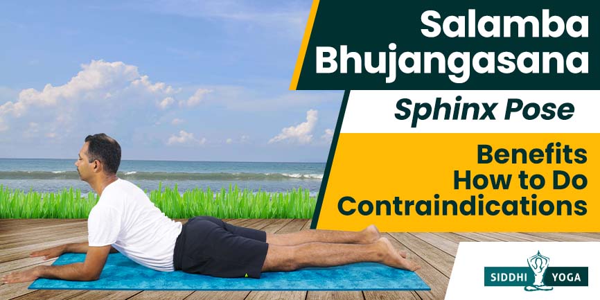 List of Most Popular 84 Yoga Asanas or Yoga poses and Their Benefits -  Yogasutram | The Sacred Wish🔴| The Health Site | Live Life Fully