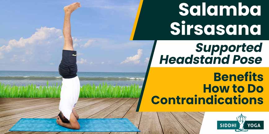 How to do sirsasana (headstand pose) and what are its benefits | PDF
