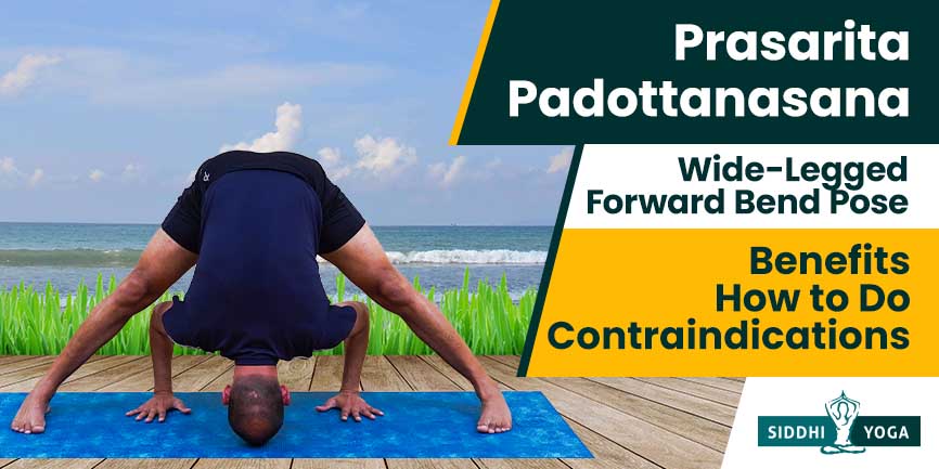 Pada Prasar (Legs Spread Intense Stretch of the West) - Himalayan Yoga  Association (Yoga Ashram)