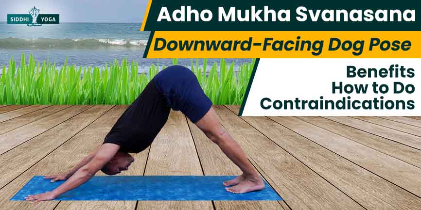 Understanding Vinyasa Flow Yoga Part 1: Downward Dog posture