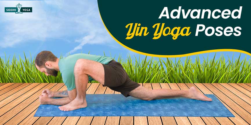 Yoga Poses - yogavinyasa