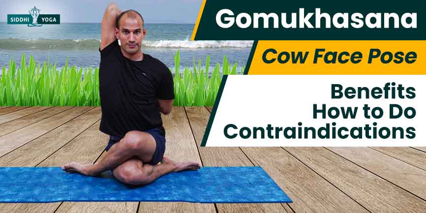 Gomukhasana or Cow Face Pose: How to Do It, Benefits, Step by Step  Instructions & Precautions - Learn Yoga, Asanas & Meditation