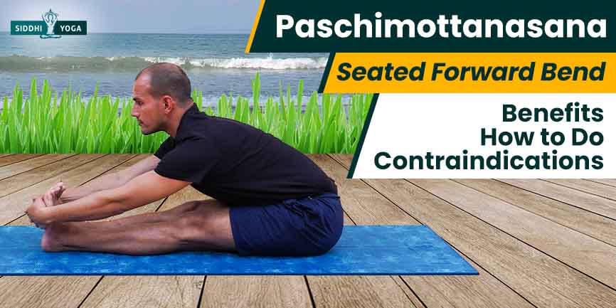 Dru Yoga - Paschimottanasana: the sitting forward bend | DruYoga.com