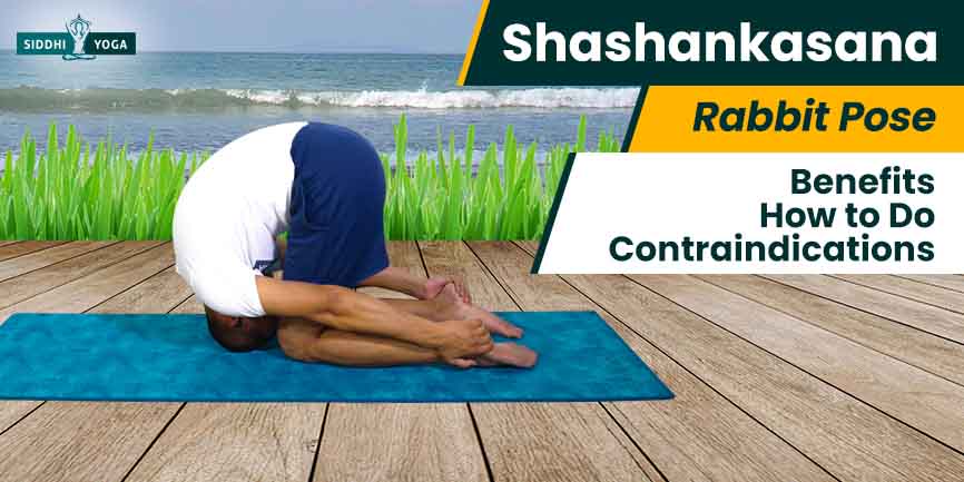 Shashankasana {Rabbit Pose}-Steps And Benefits - Sarvyoga | Yoga