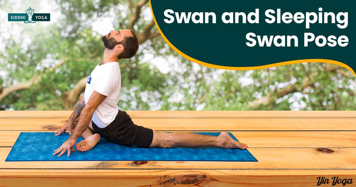 Sleeping Swan Yoga Pose for Hips