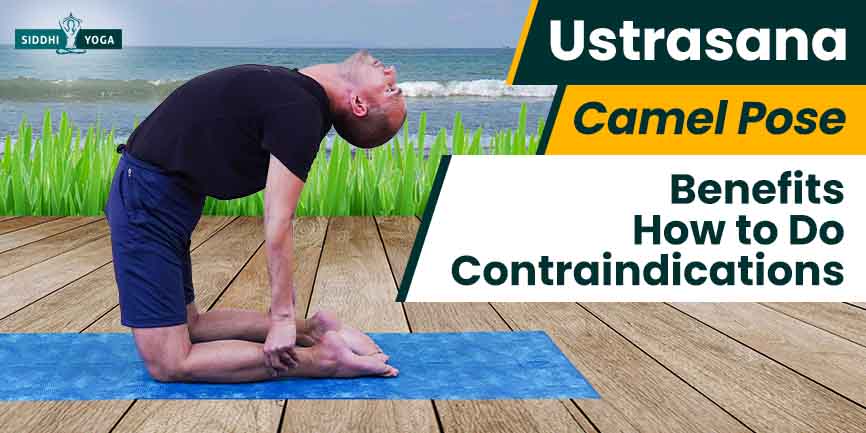 Ustrasana (Camel Pose Steps): Facts,How to do, Benefits | Yoga facts, Learn  yoga, Yoga for beginners