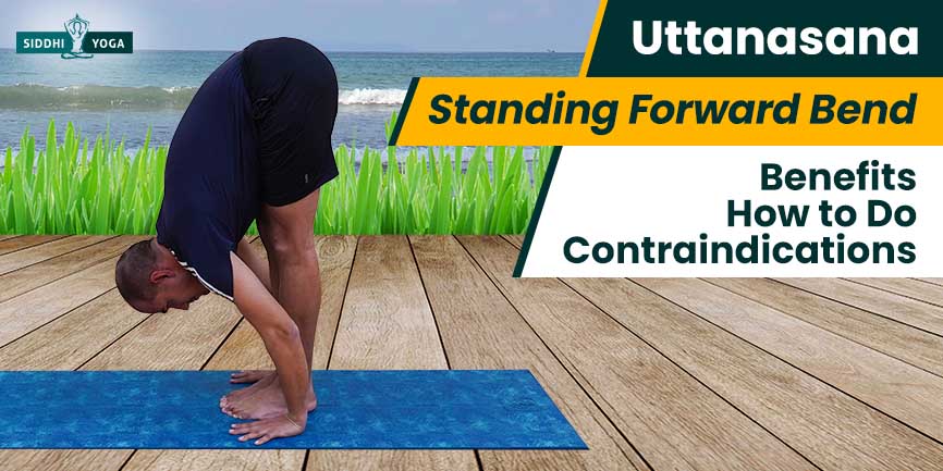 Prasarita Padahastasana | Standing Forward Bend With Feet Apart | Benefits  | The Art Of Living India