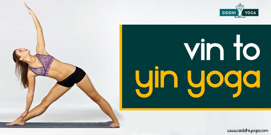 How to Teach Yin Yoga: Top 4 Tips for Success