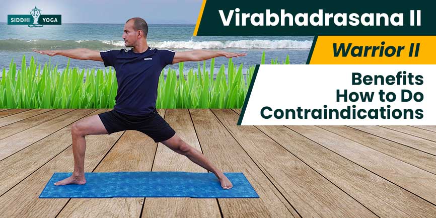 What is Virabhadrasana 2? Warrior Pose Yoga Facts