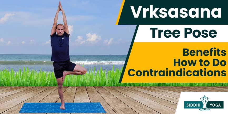 YOGA tree pose stock vector. Illustration of yoga, position - 13667582