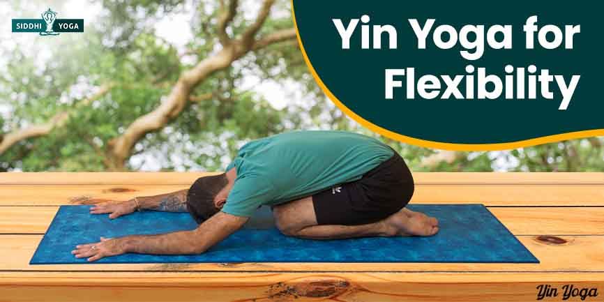 Is Yin Yang Yoga for Beginners? | Yin Yang Paradise