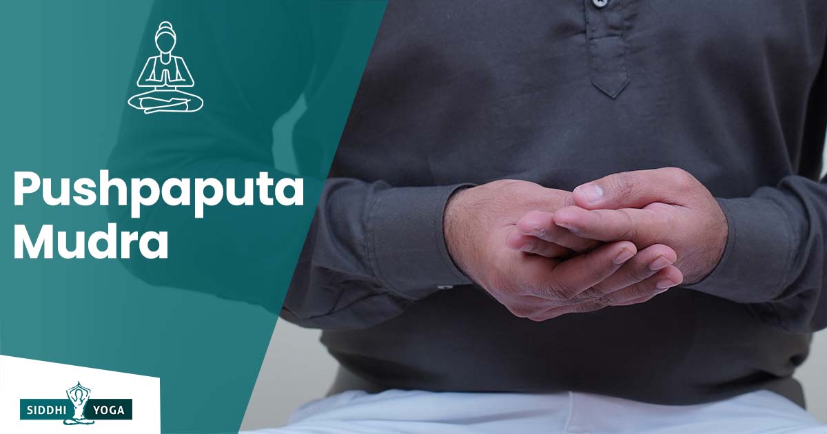 Pushpaputa Mudra significado, beneficios y cómo hacer | siddhi-yoga