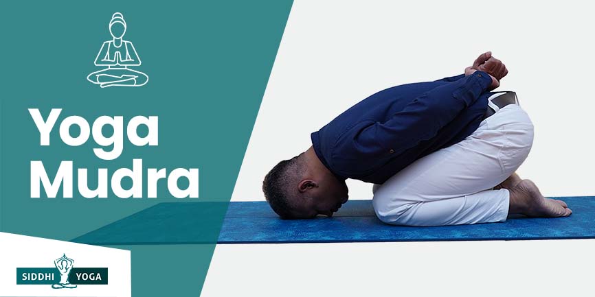 Yoga Mudra: Significado, Benefícios e Como Fazer