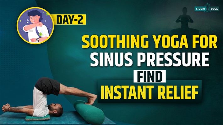 10 Best And Most Effective Yoga Poses For Sinus Relief - Livayur