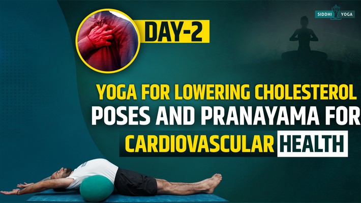 day 2 yoga for lowering cholesterol poses and pranayama for cardiovascular health