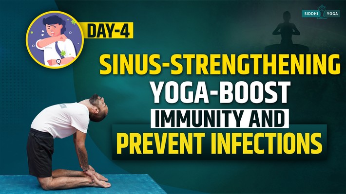 4 Most Effective Yoga Poses for Sinus Infection from Bhujangasana Bhastrika  to Kapalabhati and Anulom Vilom Pranayama - Sinus Infection: साइनस इंफेक्शन  ने कर दिया है नाक में दम? महंगी दवाई नहीं इन आसान योगासन से भी कर सकते हैं  इस परेशानी का इलाज, जानें ...